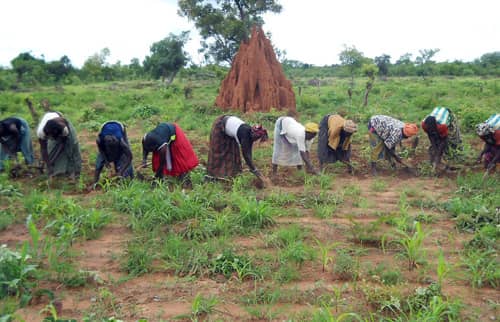 Koutal Malick Ndiaye : L’accés aux terres cultivables un problèmatique pour des milliers de familles , ces dernières aurait fait face à la famine