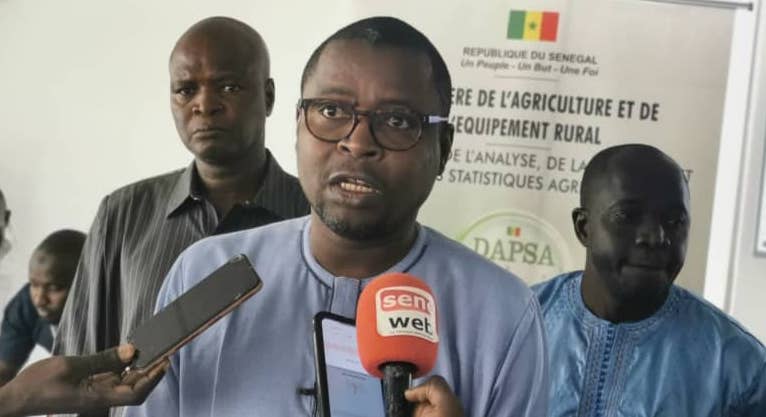 Enquête d’analyse agricole (AEE) de la DAPSA : Kaffrine et les régions sud du pays, les nouveaux bassins agricoles du Sénégal