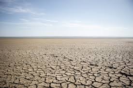 Le monde est « à la croisée des chemins » en matière de gestion des sécheresses, une hausse de 29% en une génération et une aggravation des cas, selon l’ONU
