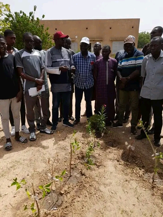 Kaolack :Le réseau des Eco- Citoyens du Sénégal a remis la Médaille Vert 2022 au maire de Gandiaye.