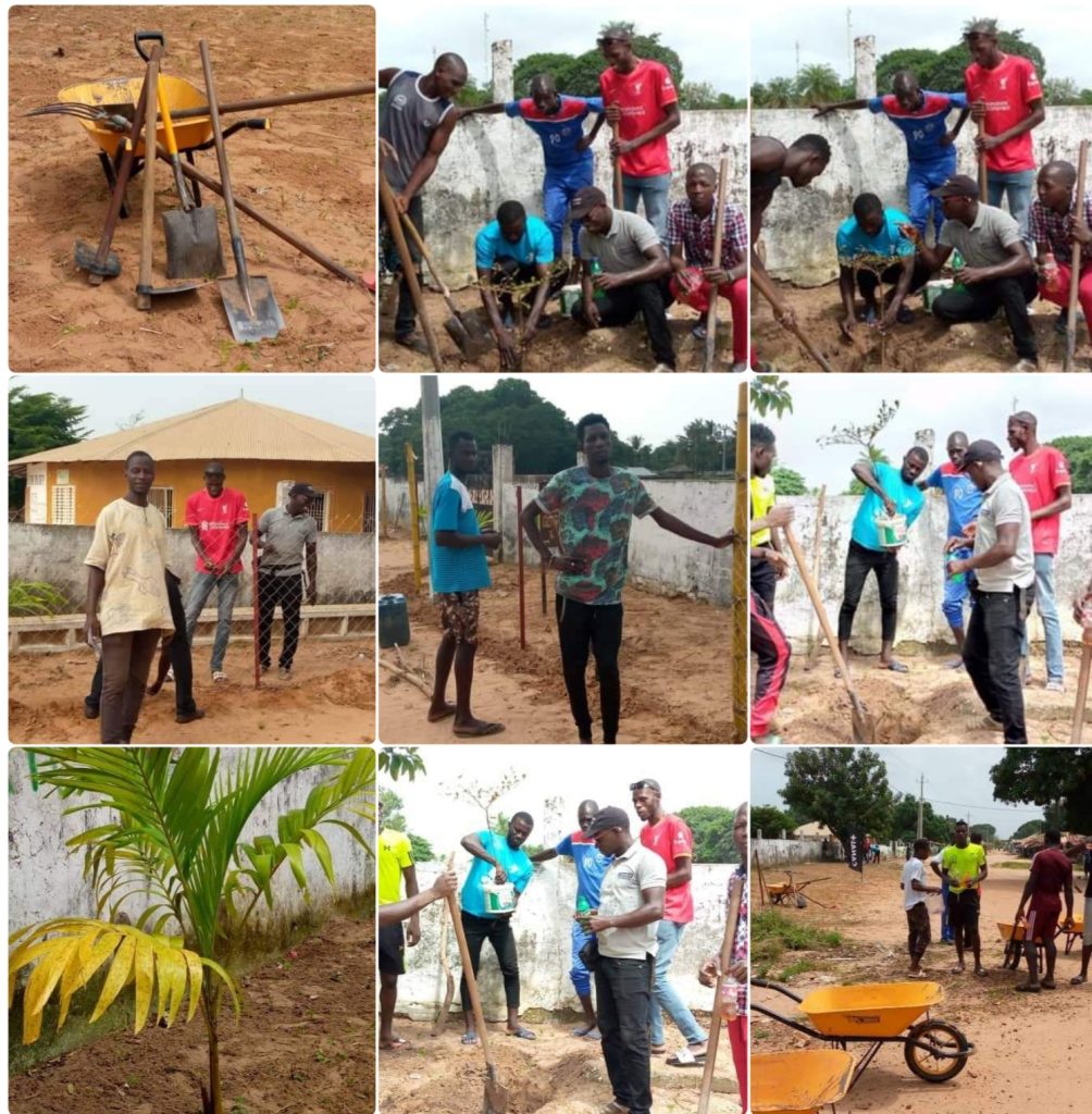 Action citoyenne à Abèné et à Kaatack: Les jeunes plantent des arbres à l’école primaire Alonda Diabang
