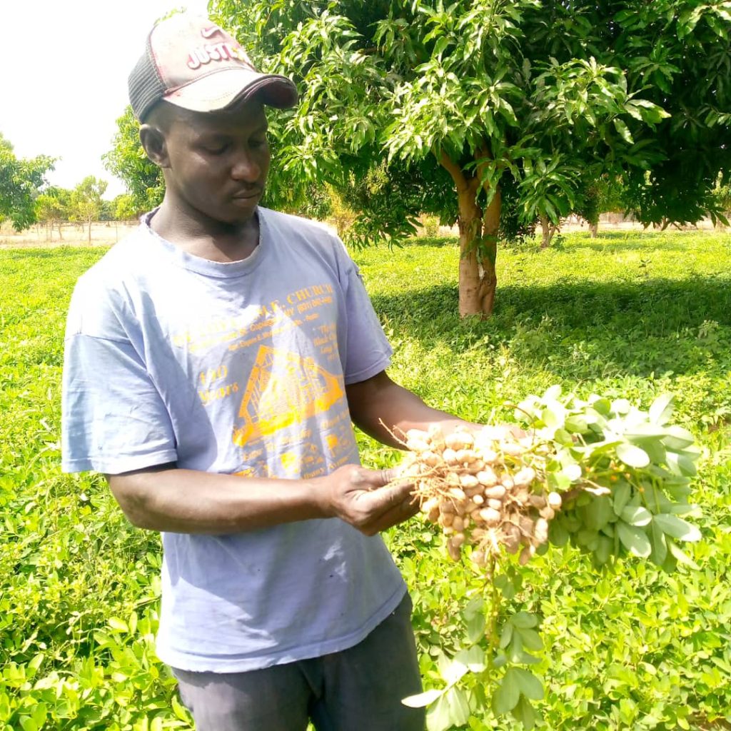 Passy/Fatick: L’opérateur économique corrige la politique agriculture du Sénégal…