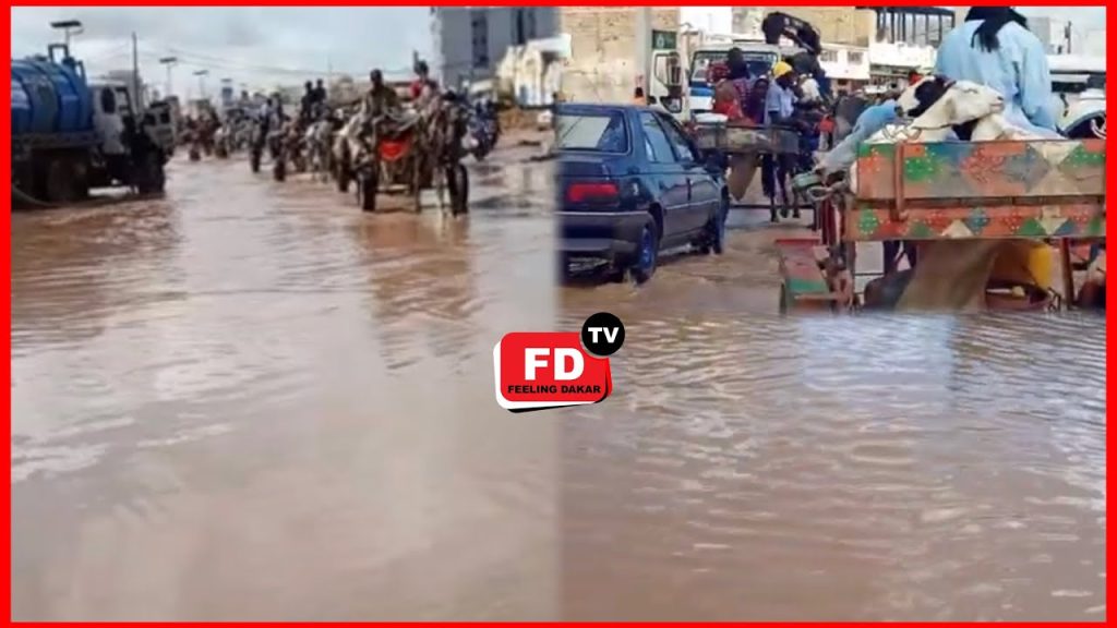Fortes pluies à Touba: Des pèlerins parlent de « bénédiction »