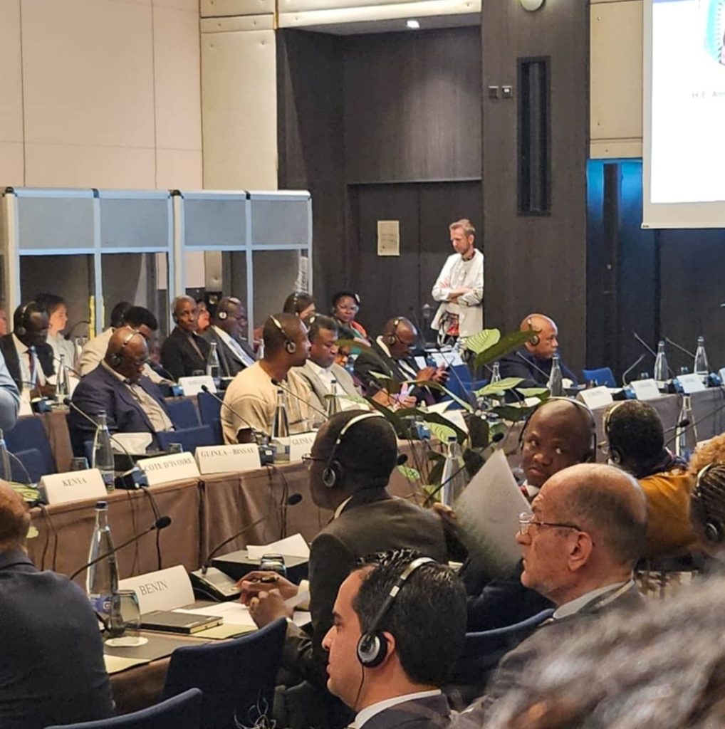 77 éme Assemblée mondiale de la Santé (AMS) :  L’Afrique s’engage à faire promouvoir la fabrication locale de produits de santé