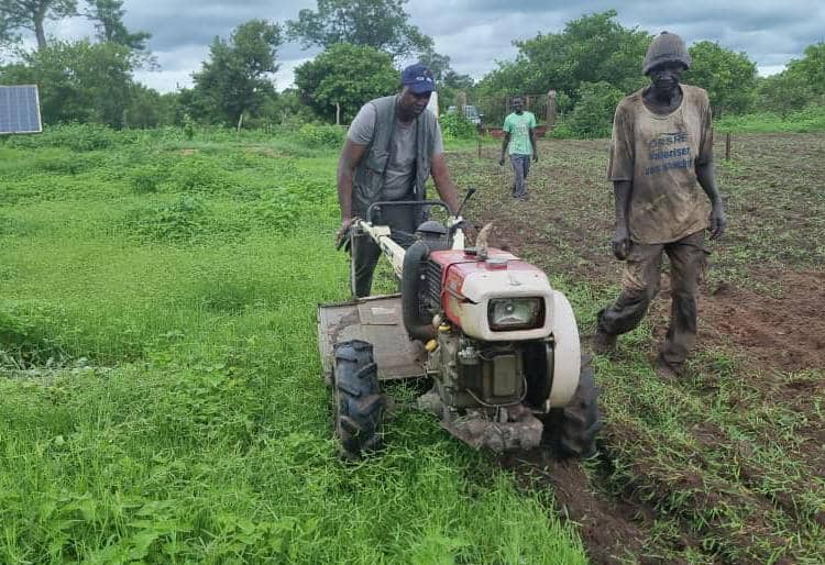 Vacances Agricoles : Driss Junior Diallo (@driss_diallo) investit les champs de Sedhiou.